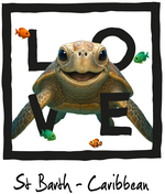 Caribbean Black Turtle - bottomless