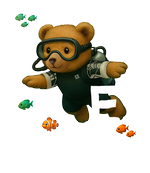 White diving bear St Barth - bottomless