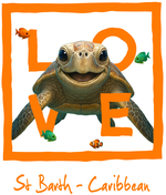 Caribbean Orange Turtle - bottomless