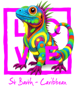 Caribbean Fuchsia Iguana