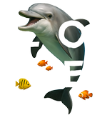 Caribbean White dolphin - bottomless