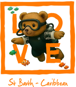 Caribbean Orange diving bear - bottomless