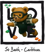 Caribbean Black diving bear - bottomless