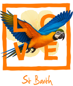 Orange Parrot St Barth