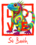 St. Barth Red Iguana