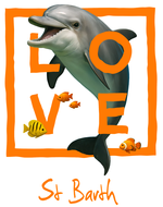 Orange dolphin St. Barth - bottomless