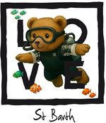 Black diving bear St Barth - bottomless