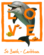 Caribbean Orange dolphin - bottomless