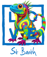 Blue iguana St Barth