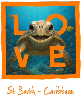 Caribbean Orange Turtle