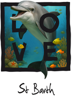 St Barth black dolphin - with background