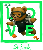 Green diving bear St Barth - bottomless