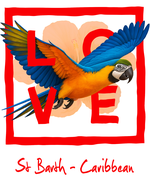 Red Parrot Caribbean