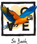 Black Parrot St Barth