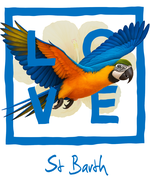 Blue Parrot St Barth