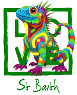 St. Barth Green Iguana