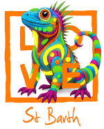 Orange Iguana St Barth