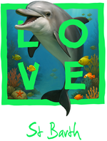 St Barth green dolphin - with background