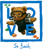 Blue diving bear St Barth - bottomless