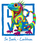 Caribbean blue iguana